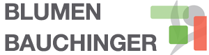 Logo Blumen Bauchinger
